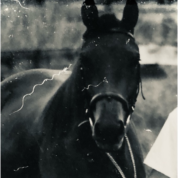 Meet your Posher, Courtney - Picture 10 of 11